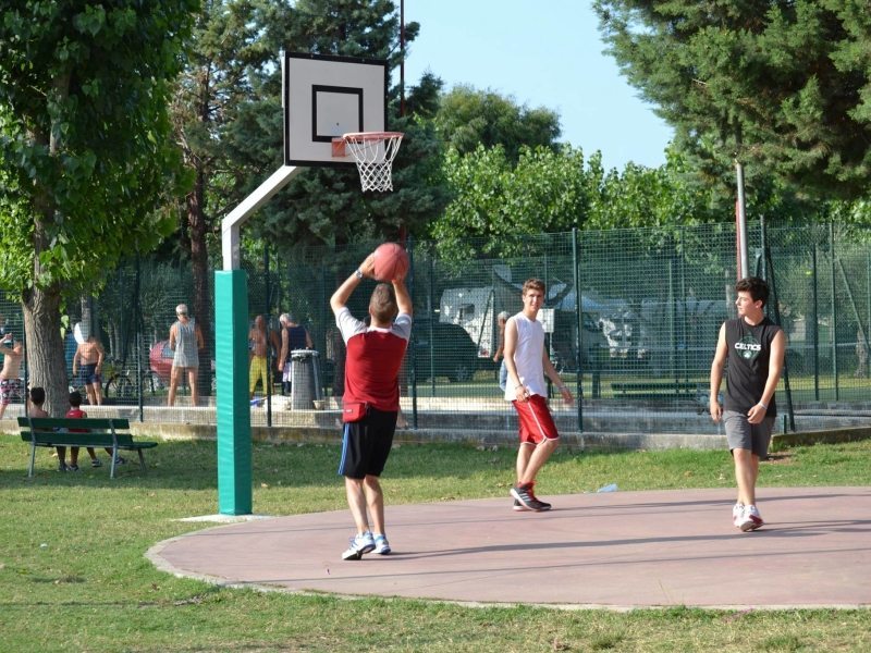 Campo Basket