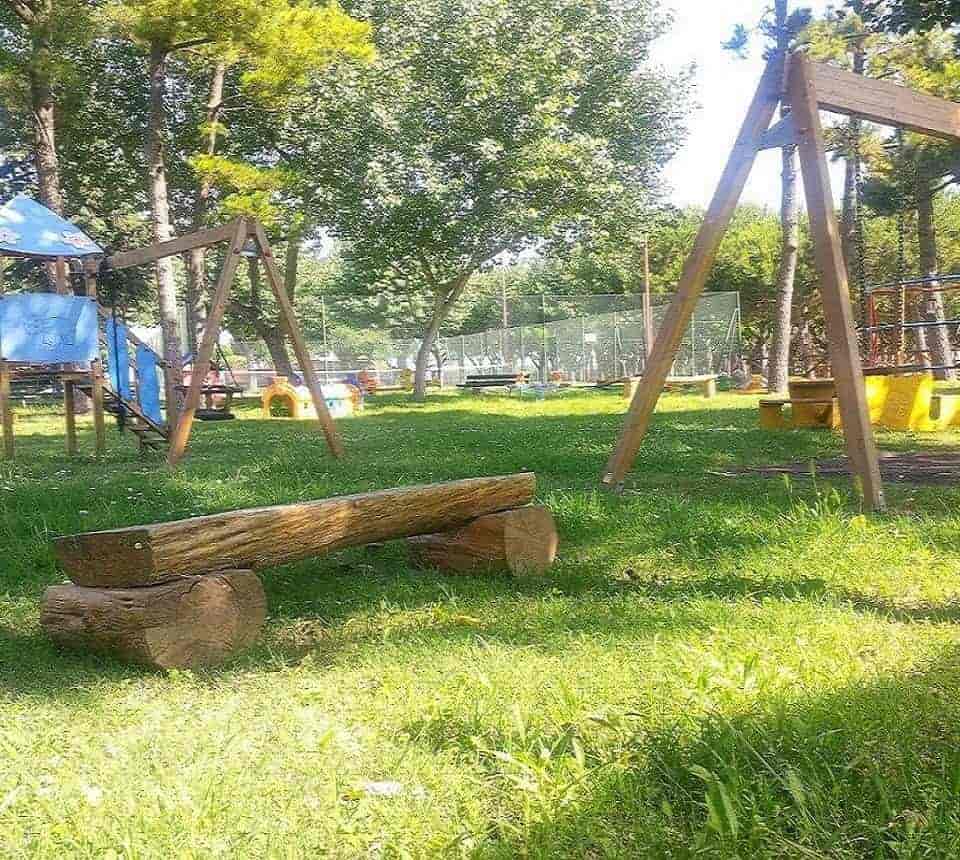 Bimbi nel verde