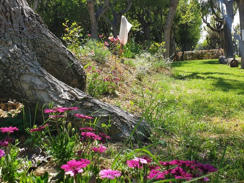 Grill-Giardino Ufficinale