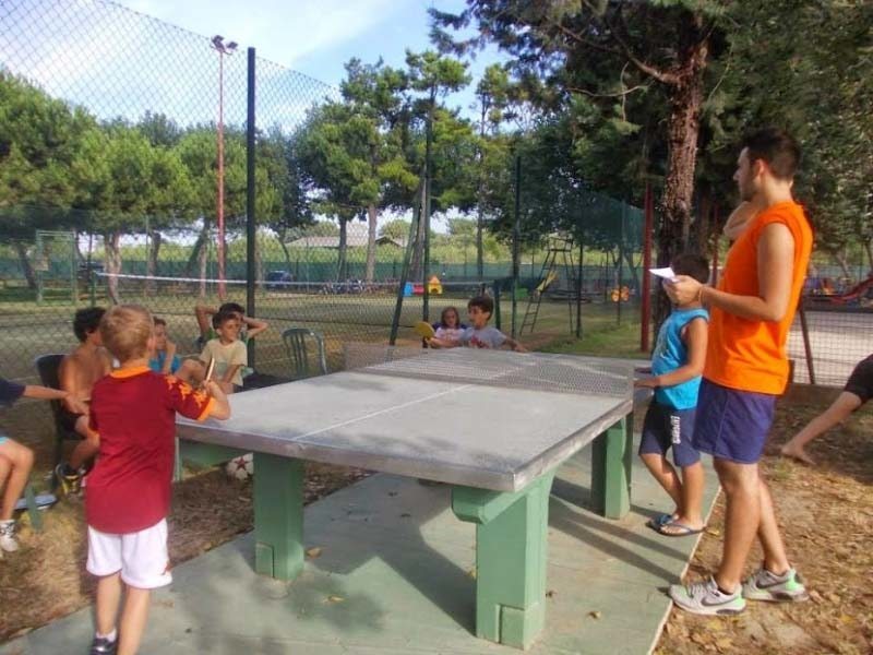 Ping pong