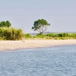 Riserva naturale del Borsacchio