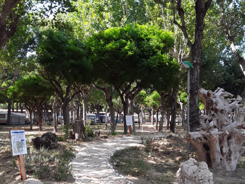 giardino2