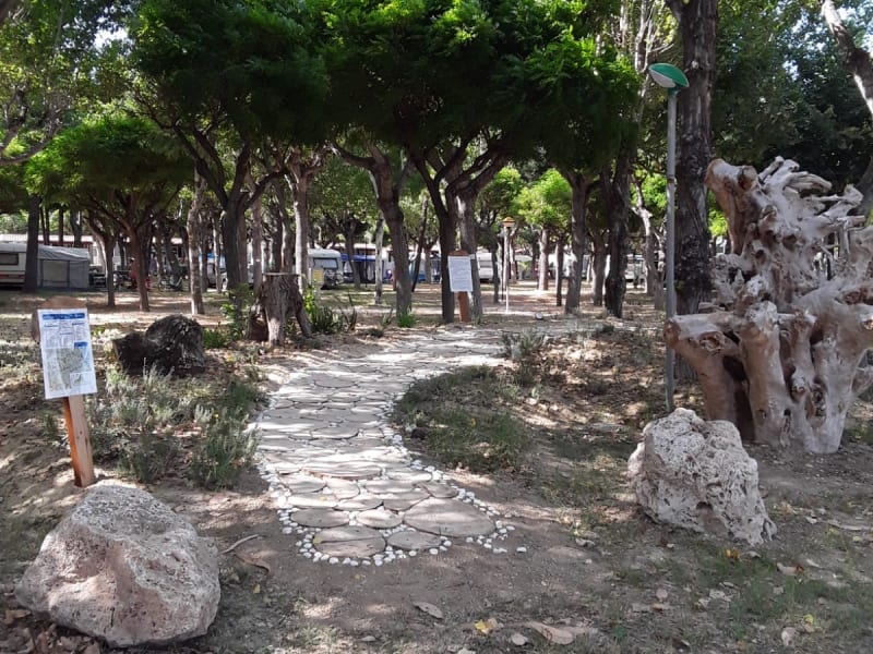 giardino2