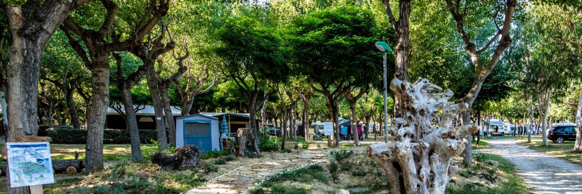 Camping Kräutergarten